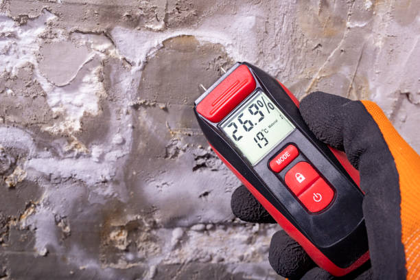 Certified Mold Removal in Everson, WA