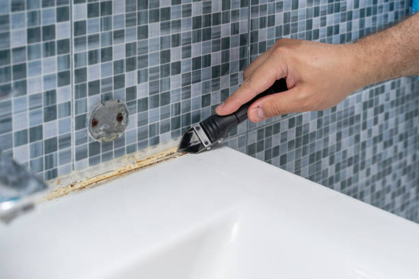 Best Mold Cleaning Services  in Everson, WA